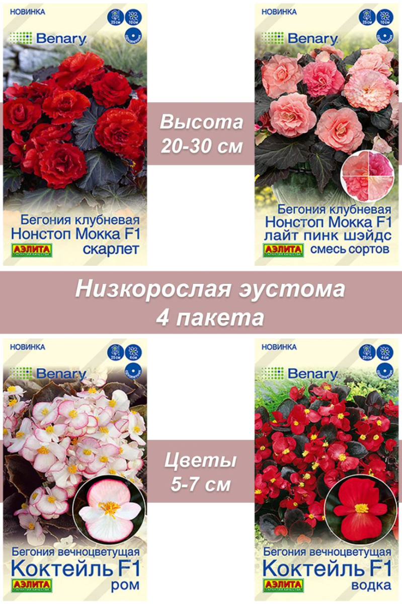 Семена комнатных растений Бегония 3