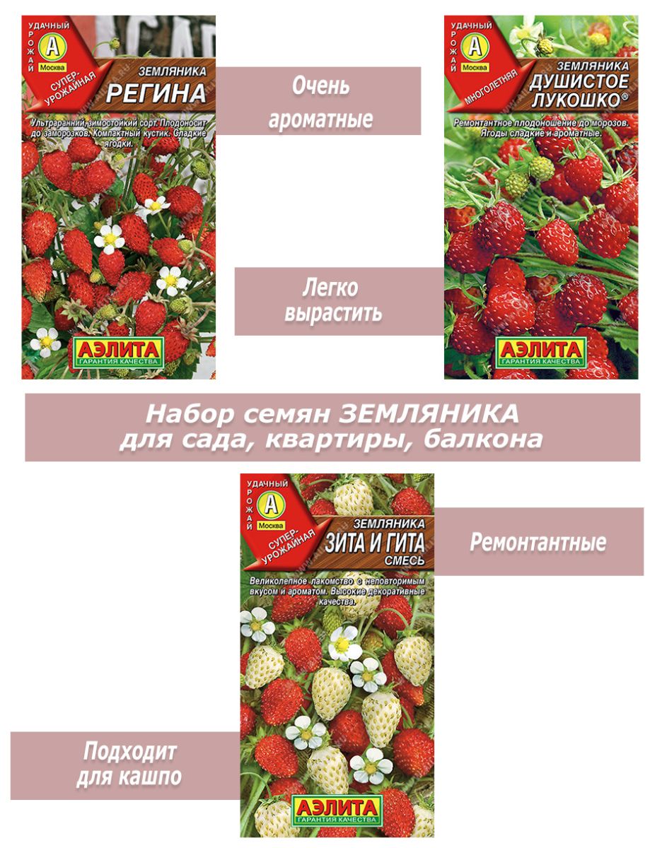 Набор семян, семена земляники для кашпо, подоконника, квартиры, балкона