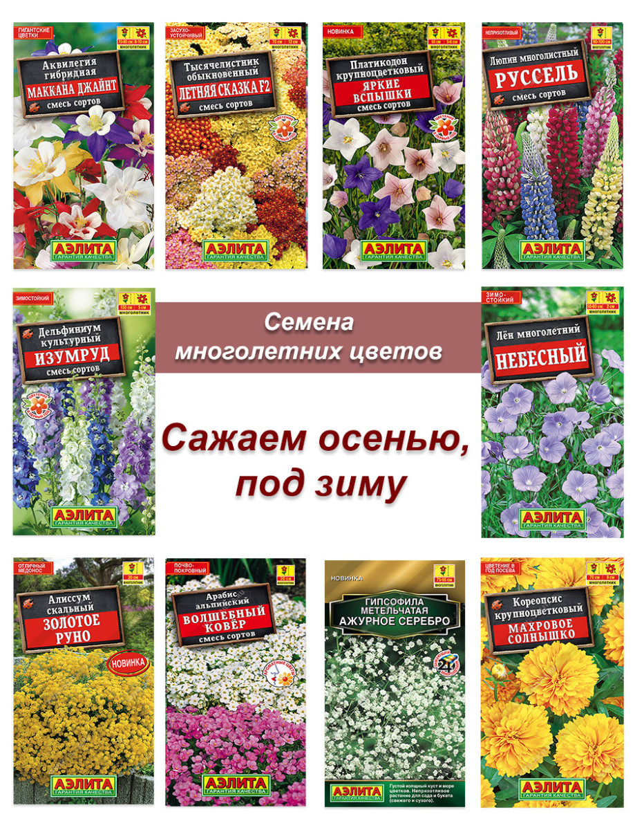 Многолетники Осень №1