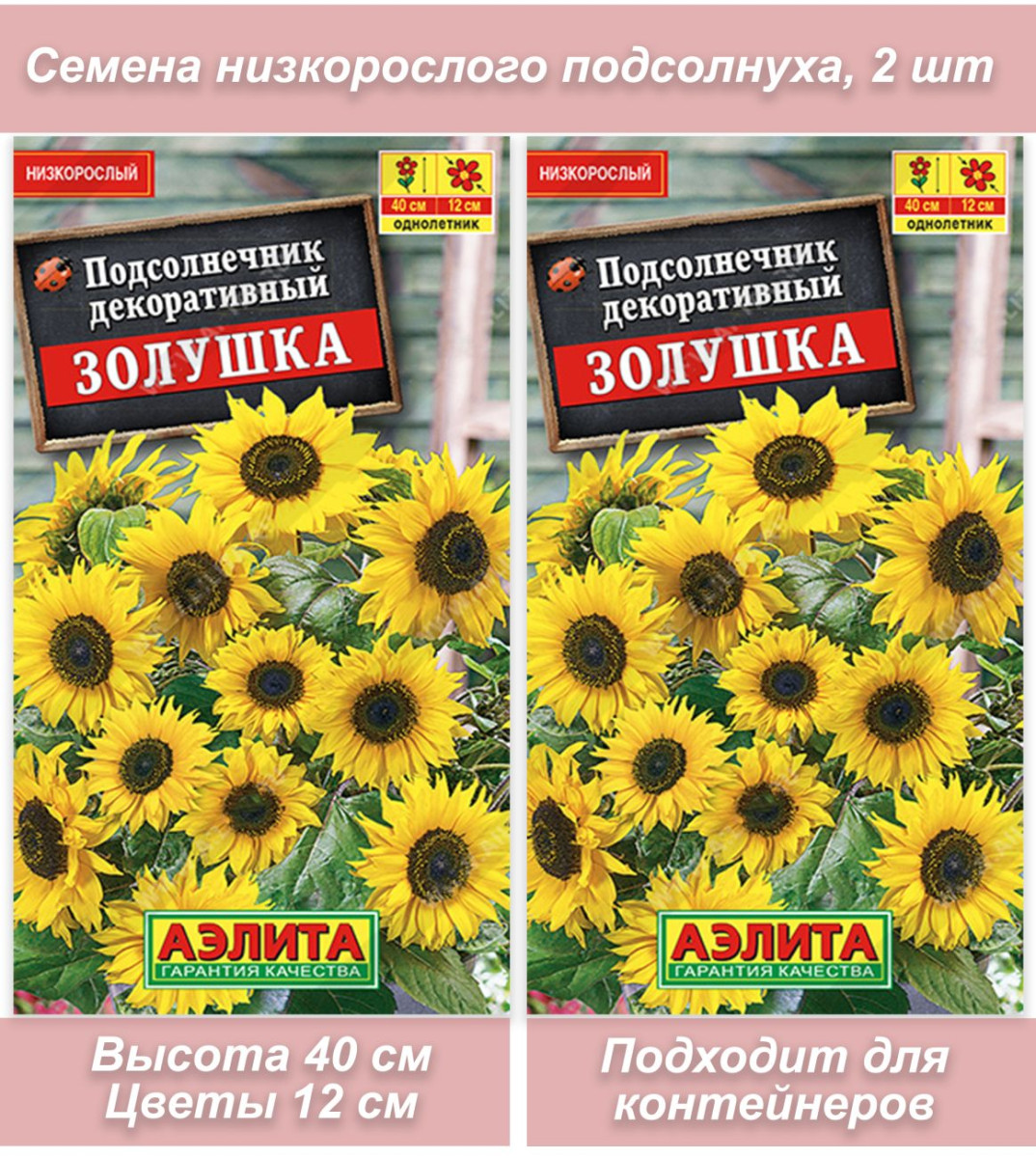 Подсолнух Золушка