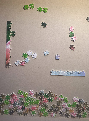 WP_20180205_15_12_45_Pro.jpg WP_20180205_15_12_45_Pro.jpg