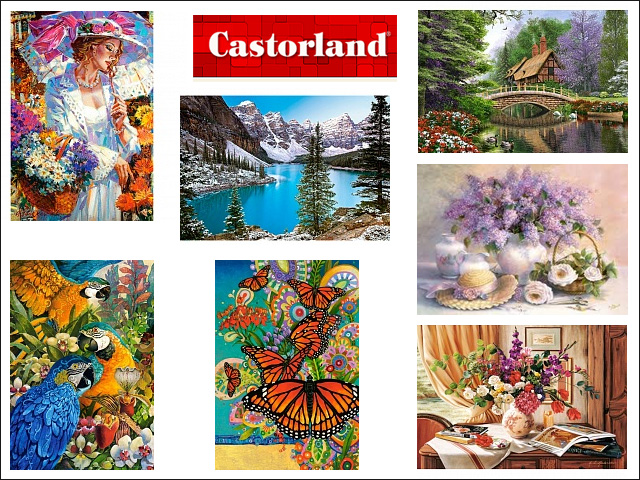 кастор.jpg кастор.jpg