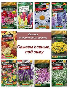 Многолетники Осень №2