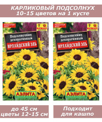 Набор семян, семена карликового декоративного подсолнуха 2