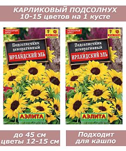 Набор семян, семена карликового декоративного подсолнуха 2