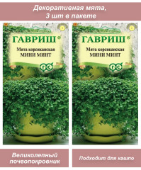 Семена мяты корсиканской Мини минт ГАВР