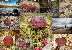 Пазл Алма ПРЕМИУМ деревянный 1000 деталей. Карельская сказка. Лесная кладовая