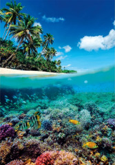 Пазл Clementoni 1000 деталей: Летний рай