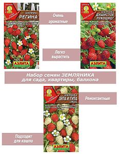 Набор семян, семена земляники для кашпо, подоконника, квартиры, балкона
