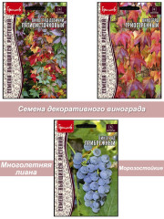 Семена винограда ипг