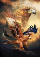 Пазл Art Puzzle 1000 деталей: Орел в небе