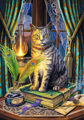 Пазл Trefl 1000 деталей: Волшебная коллекция. Книга теней