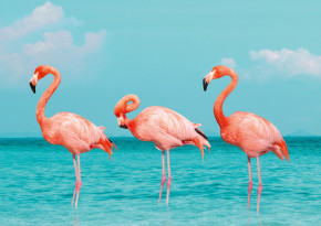 Пазл Фрея 1000 деталей: Трио