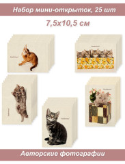 Набор Мини открыток, бирки, карточки 2