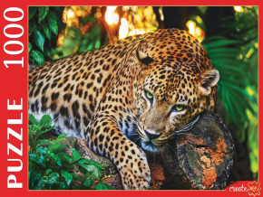 Пазл Рыжий Кот 1000 деталей: Благородный леопард