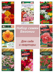 Семена комнатных растений Бегония