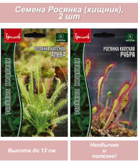 Семена комнатных цветов Росянка