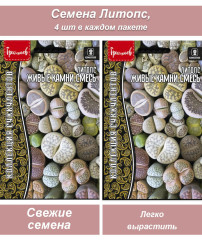 Семена комнатных цветов Литопс (живые камни) ИПГ