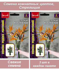 Семена комнатных цветов Стрелиция, 2 шт