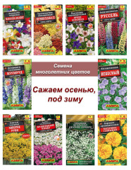 Многолетники Осень №1