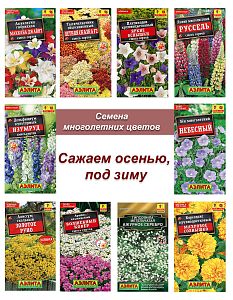 Многолетники Осень №1