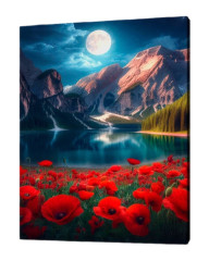 Картина по номерам на подрамнике Рыжий Кот: Красные маки в ночи