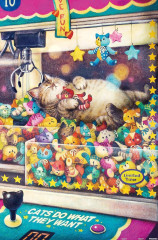 Пазл Pintoo 600 деталей: Феникс Чан. Повседневная жизнь