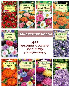 Набор семян, семена однолетних цветов