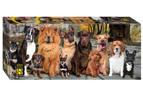 Пазл Step puzzle 1000 деталей: Верные друзья