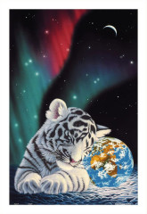 Пазл Pintoo 600 деталей: Шим Шиммель. Северное сияние