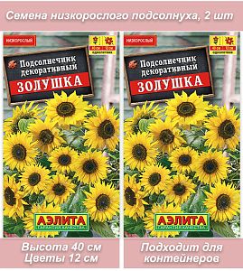 Подсолнух Золушка