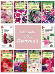 Семена цветов Петуния  27