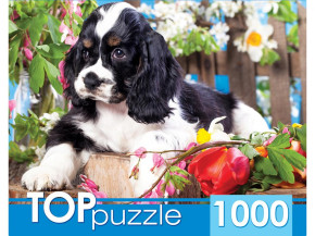 Пазл TOP Puzzle 1000 деталей: Щенок спаниеля в саду (УЦЕНКА)