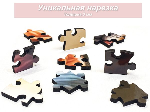 1000 деталей, Премиум
