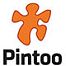 Pintoo
